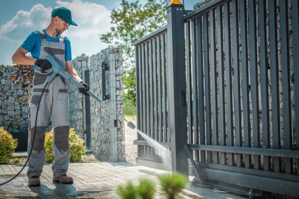 Best Driveway Cleaning and Restoration in Ravenel, SC